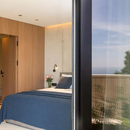 ヴィラ Modern In With Infinity Rooftop Pool ドゥブロブニク