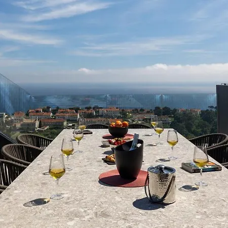 Modern In With Infinity Rooftop Pool ドゥブロブニク